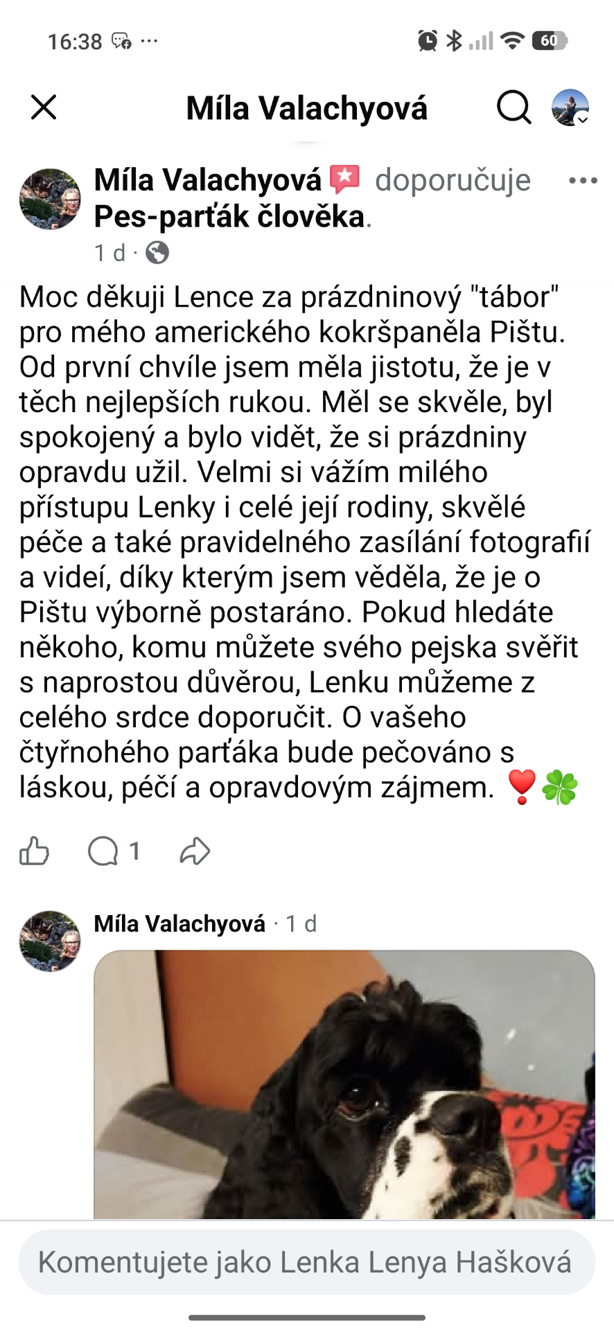 Recenze na Facebooku: poděkování Lence za hlídání amerického kokršpaněla Pišty